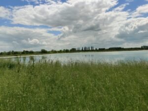 The Water Wars: How Climate Change Is Reshaping Global Power Dynamics