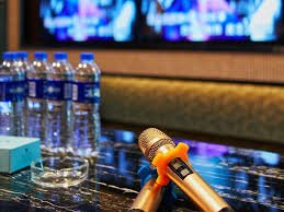 Gangnam’s Karaoke Comeback: 2026’s Hottest Luxury Revivals