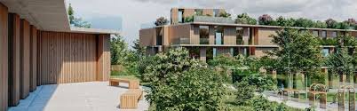 Shashel and Sustainable Building Maintenance